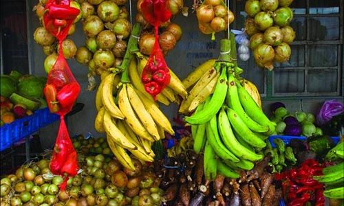 INDISPENSABLE COSTA RICA pas cher photo 3