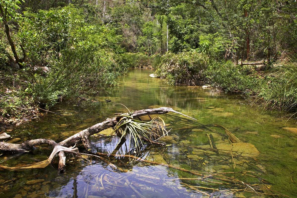 Circuit Cuba Autentica pas cher photo 6