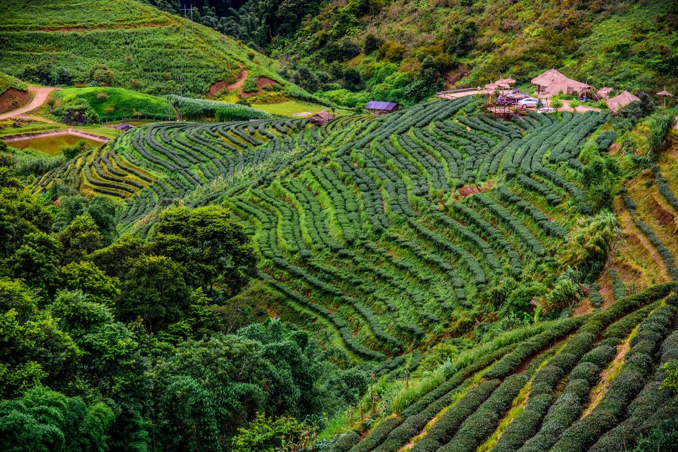 MINORITES DE THAILANDE - 11J/8N - Limité à 12 pers. pas cher photo 8