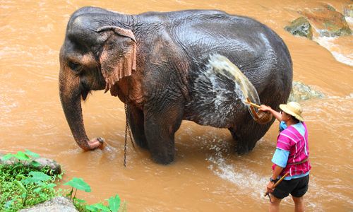 CONFIDENTIEL NEPAL pas cher photo 4