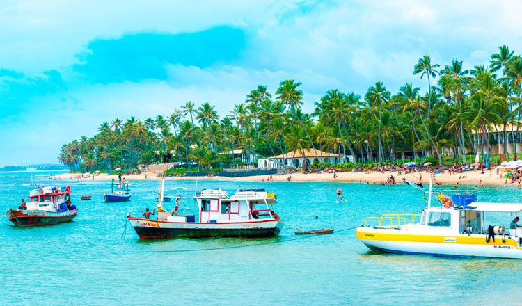 BRESIL A L'ESSENTIEL pas cher photo 6