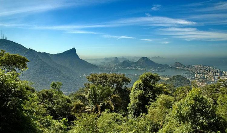 BRESIL A L'ESSENTIEL pas cher photo 8