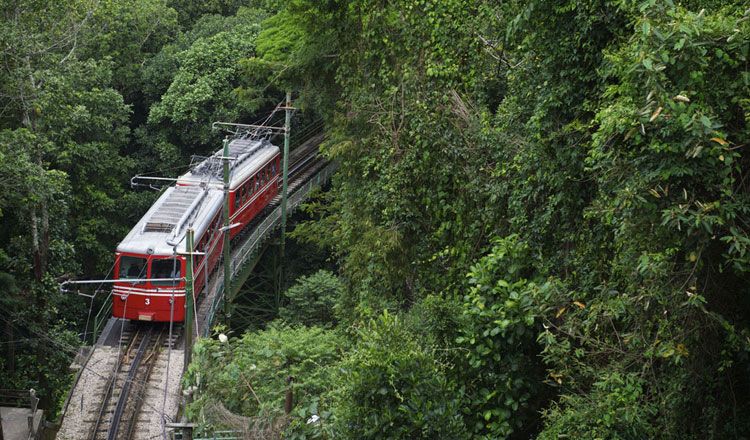 BRESIL A L'ESSENTIEL pas cher photo 9