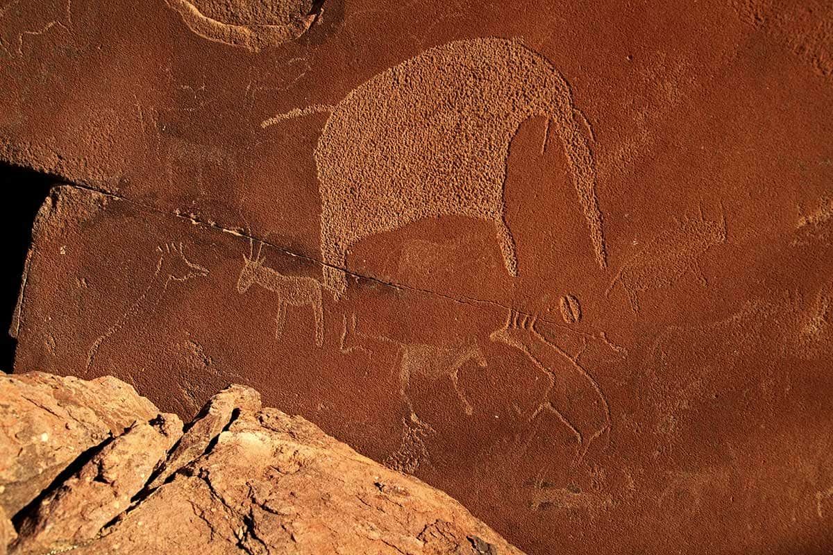 Sensationnelle Namibie pas cher photo 8