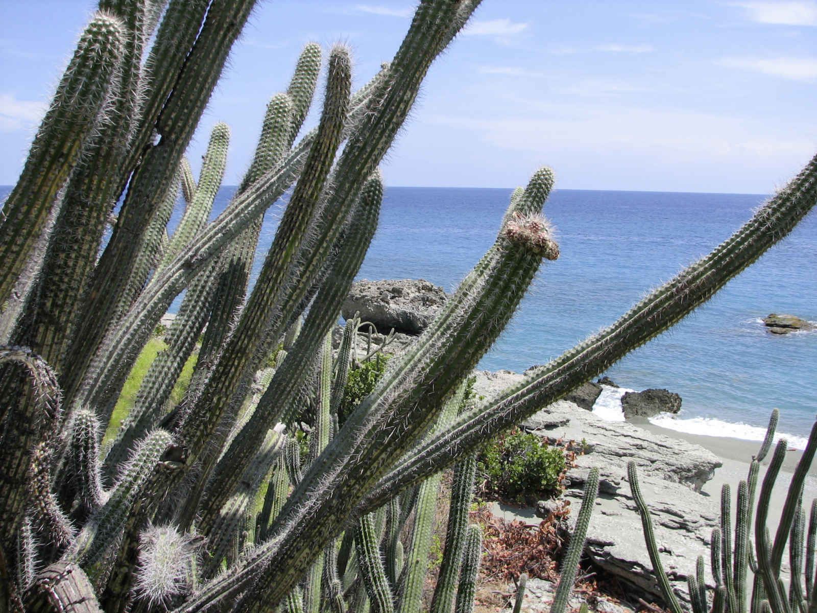 Cités dorées du Mexique pas cher photo 6