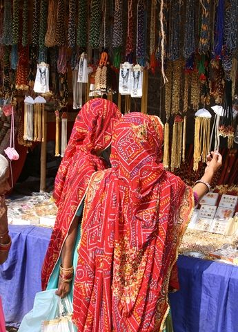 Explorations de l'Inde du Nord 17J/15N 2019 pas cher photo 6