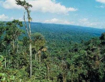 CONFIDENTIEL EQUATEUR pas cher photo 4