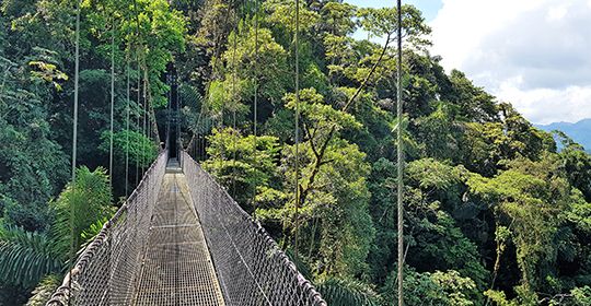 Au Coeur du Costa Rica - Costa Rica pas cher photo 2