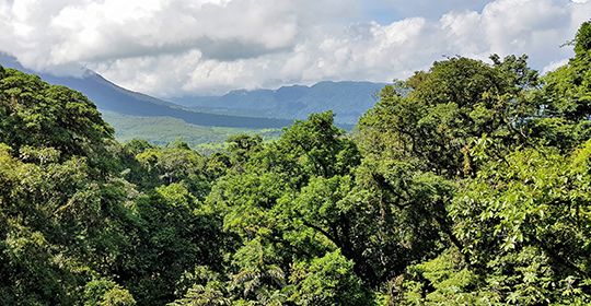 Au Coeur du Costa Rica - Costa Rica pas cher photo 3