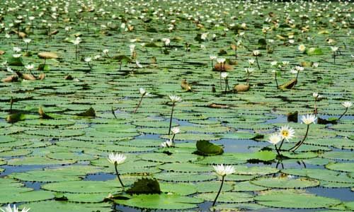 INDISPENSABLE GUATEMALA & HONDURAS pas cher photo 10