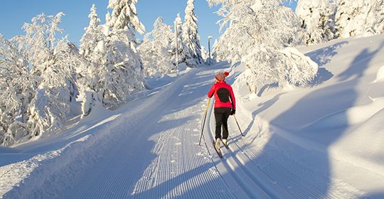 Lumière Laponie Kittila - Finlande pas cher photo 2
