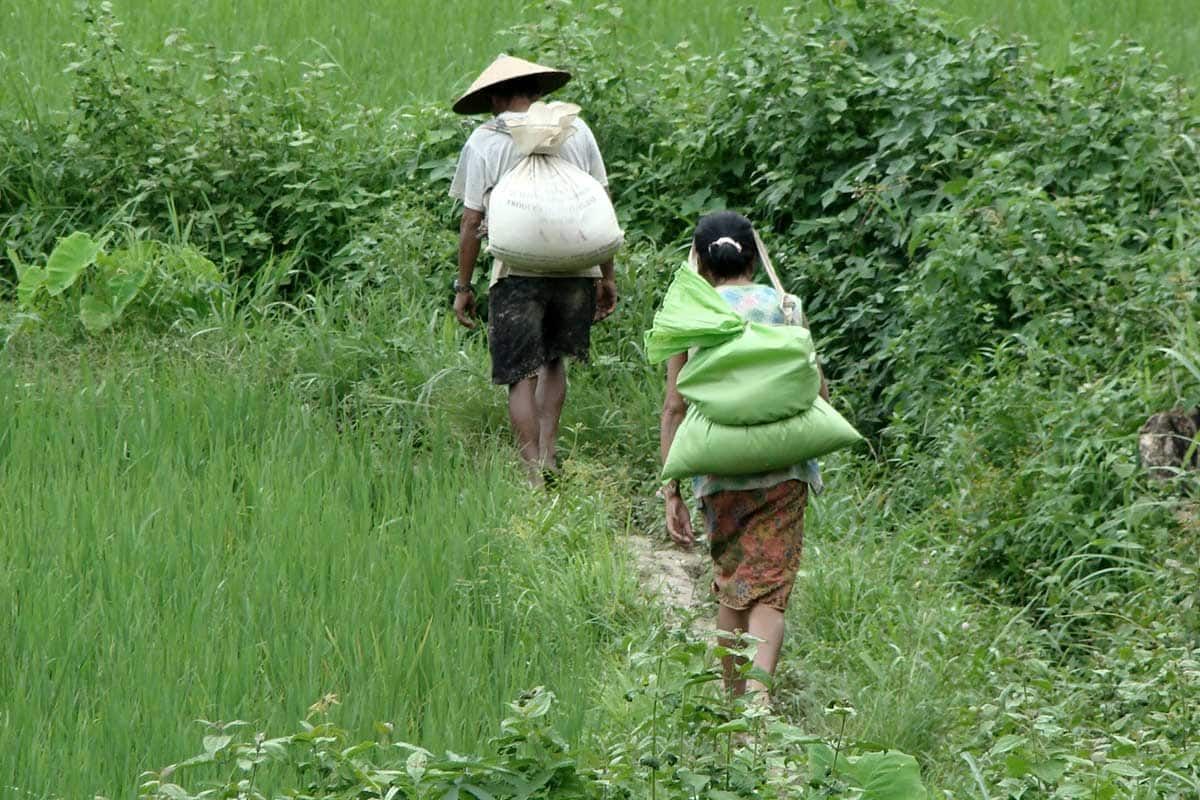 Circuit Grand Voyage en terre d'Asie - Départs 2019-2020 pas cher photo 4