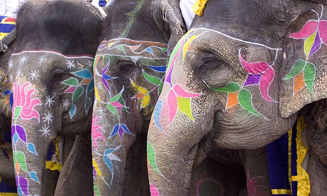 CONFIDENTIEL RIVES DU GANGE pas cher photo 4