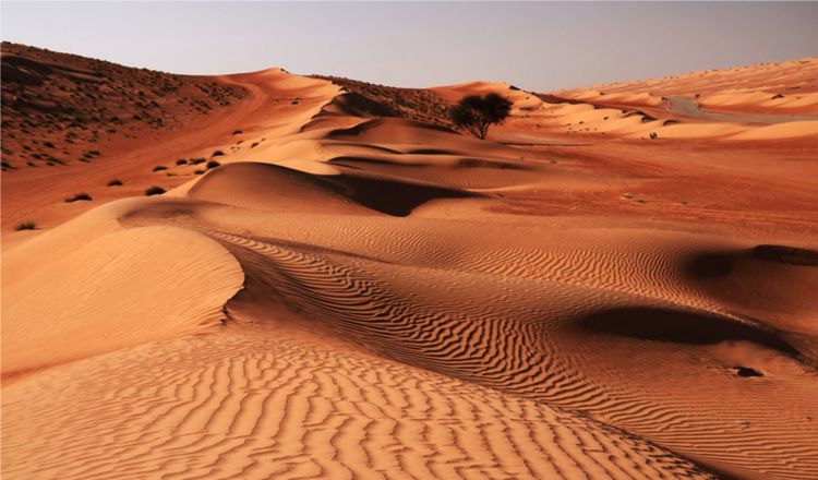 OMAN EXPRESS pas cher photo 10