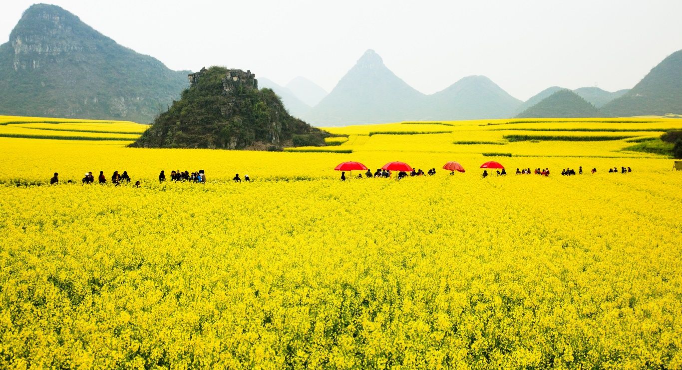 CLASSIQUES ET MINORITES DE CHINE - 15J/12N - Limité à 24 pers. pas cher photo 3