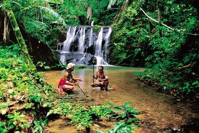 Borneo, de la jungle à la plage ..en privatif pas cher photo 3