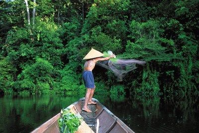 Borneo, de la jungle à la plage ..en privatif pas cher photo 7