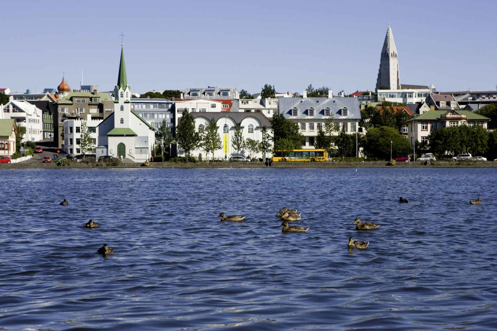 Essentiel d'Islande pas cher photo 4