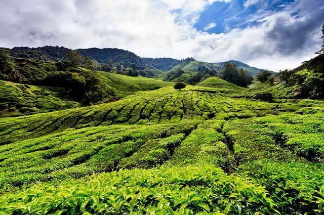 La Péninsule Etincelante - Malaisie pas cher photo 11