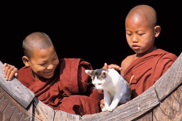 Birmanie Essentielle pas cher photo 5