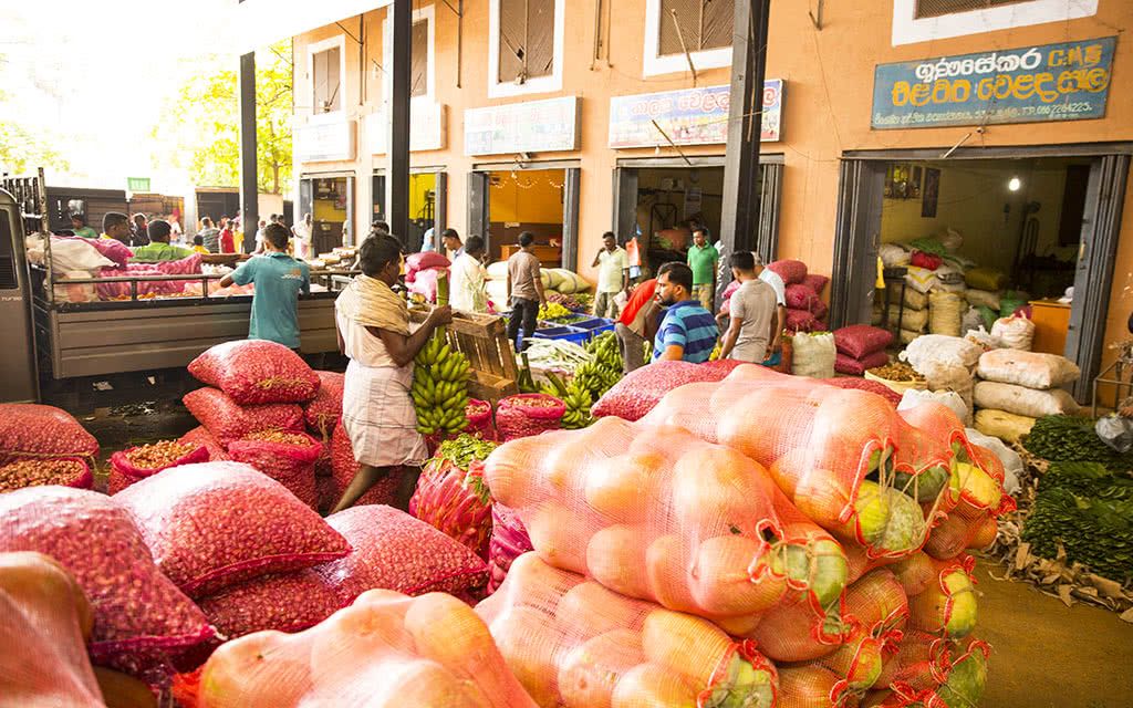 Le Tour Complet de Ceylan pas cher photo 2