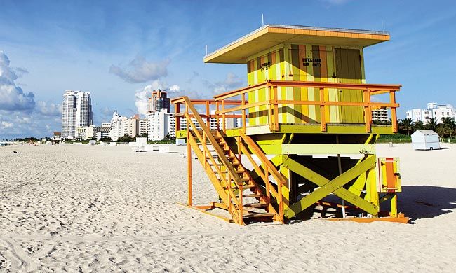 INDISPENSABLE FLORIDE pas cher photo 3