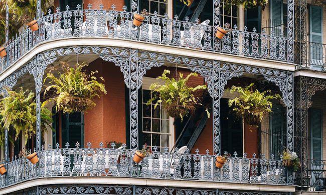 INDISPENSABLE LOUISIANE pas cher photo 2