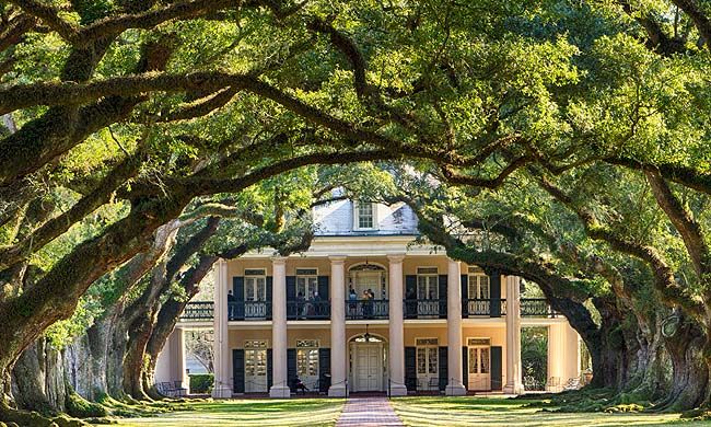 INDISPENSABLE LOUISIANE pas cher photo 6