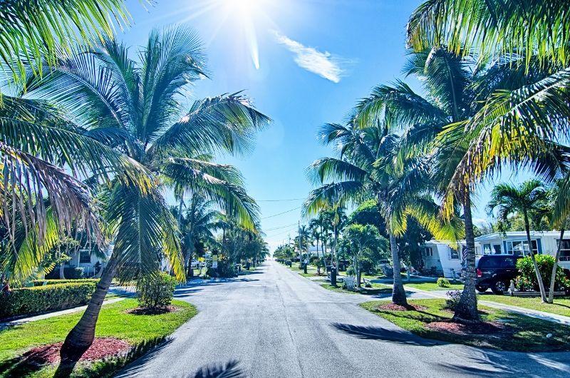 Circuit Découverte de la Floride pas cher photo 1