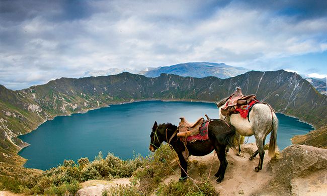 INDISPENSABLE EQUATEUR pas cher photo 4