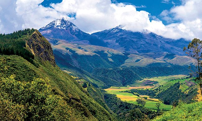 INDISPENSABLE EQUATEUR pas cher photo 5