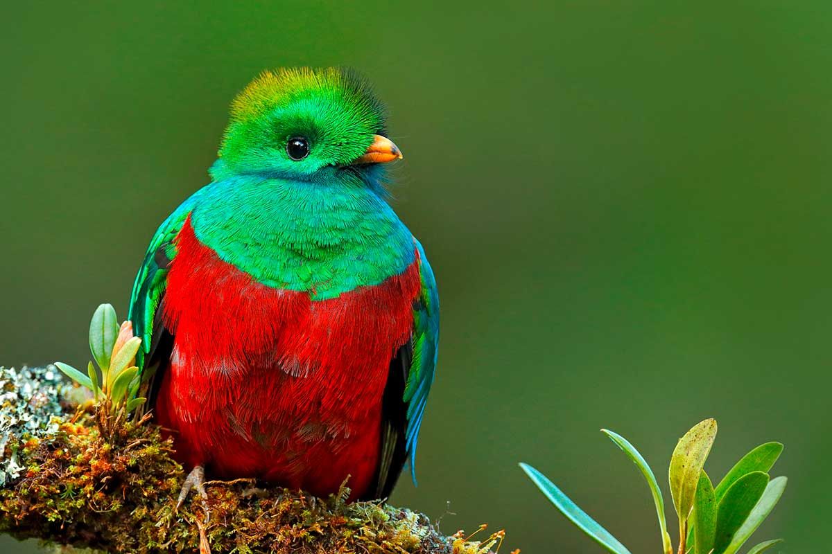 Circuit Costa Rica Autrement pas cher photo 5