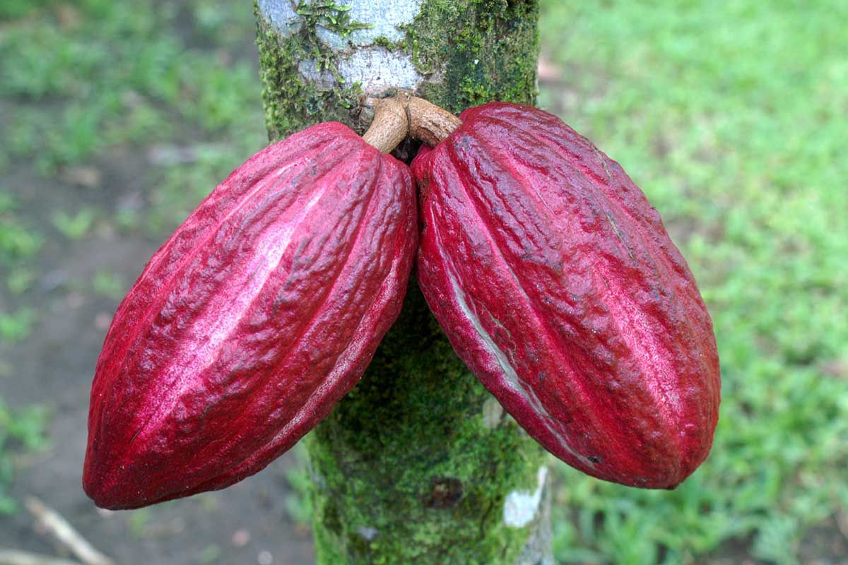 Circuit Costa Rica Autrement pas cher photo 7