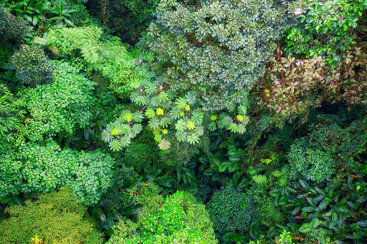 Circuit Costa Rica Autrement pas cher photo 9