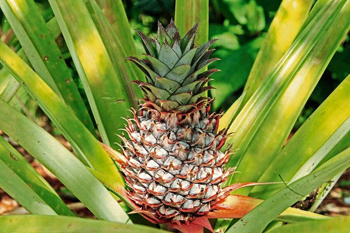 Circuit Costa Rica Autrement pas cher photo 10