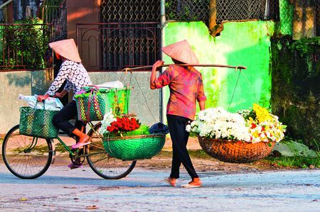 Immersion au Vietnam & extension Siem Reap & Angkor 15J/12N - 2020 pas cher photo 12