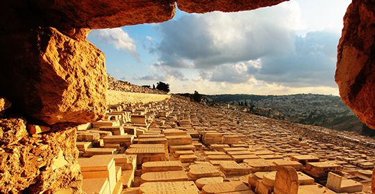Combiné Jordanie / Israël - Jordanie pas cher photo 1