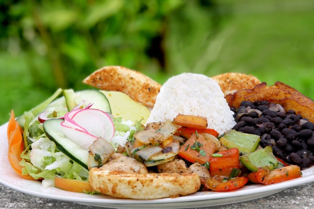 LES INCONTOURNABLES DU COSTA RICA - 10J/8N Limité à 19 pers* 2020 pas cher photo 11