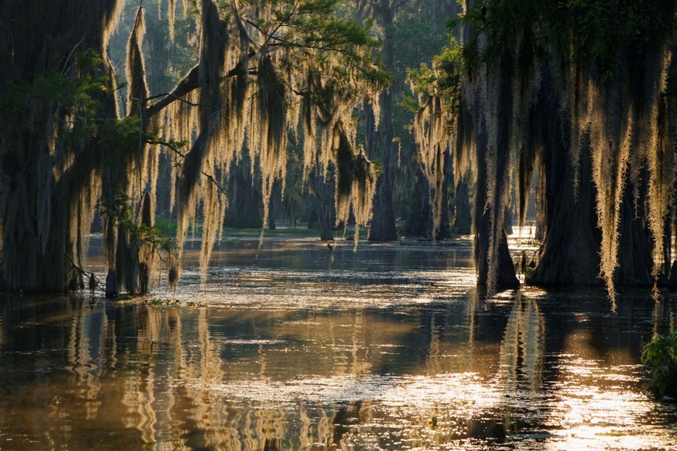 DECOUVERTE DE LA LOUISIANE 9J/7N - 2019/20 pas cher photo 6