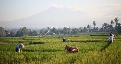 Perles de Bali 3* pas cher photo 5
