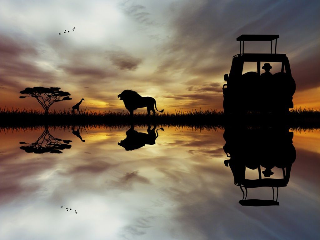 MAGIE DE L AFRIQUE DU SUD 12J/10N Limité à 18 pers. 2019/20 pas cher photo 4