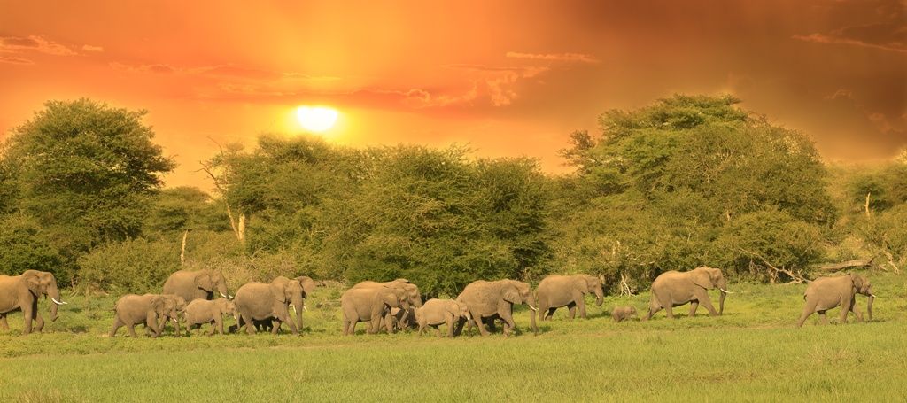MAGIE DE L AFRIQUE DU SUD 12J/10N Limité à 18 pers. 2019/20 pas cher photo 5