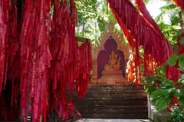 Yunnan, sur la Route du Thé - Chine pas cher photo 4