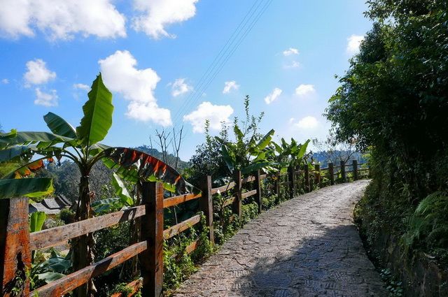 Yunnan, sur la Route du Thé - Chine pas cher photo 11