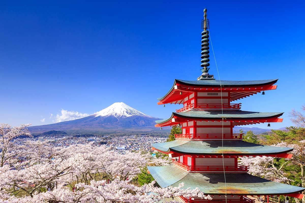 Sensationnel Japon pas cher photo 6