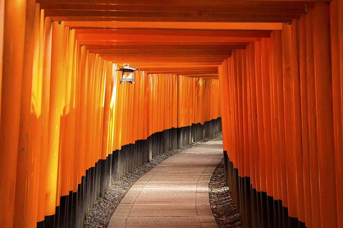 Sensationnel Japon pas cher photo 10