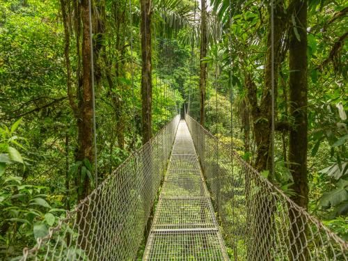 Circuit Des Caraïbes au Pacifique 3*/4* pas cher photo 2