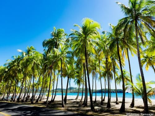 Circuit Des Caraïbes au Pacifique 3*/4* pas cher photo 3