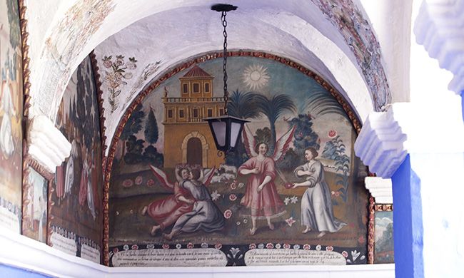 INDISPENSABLE PEROU & AMAZONIE pas cher photo 10