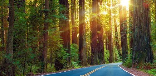 Splendeurs de l'Ouest des USA - Version Confort 11J/9N - 2020 pas cher photo 6